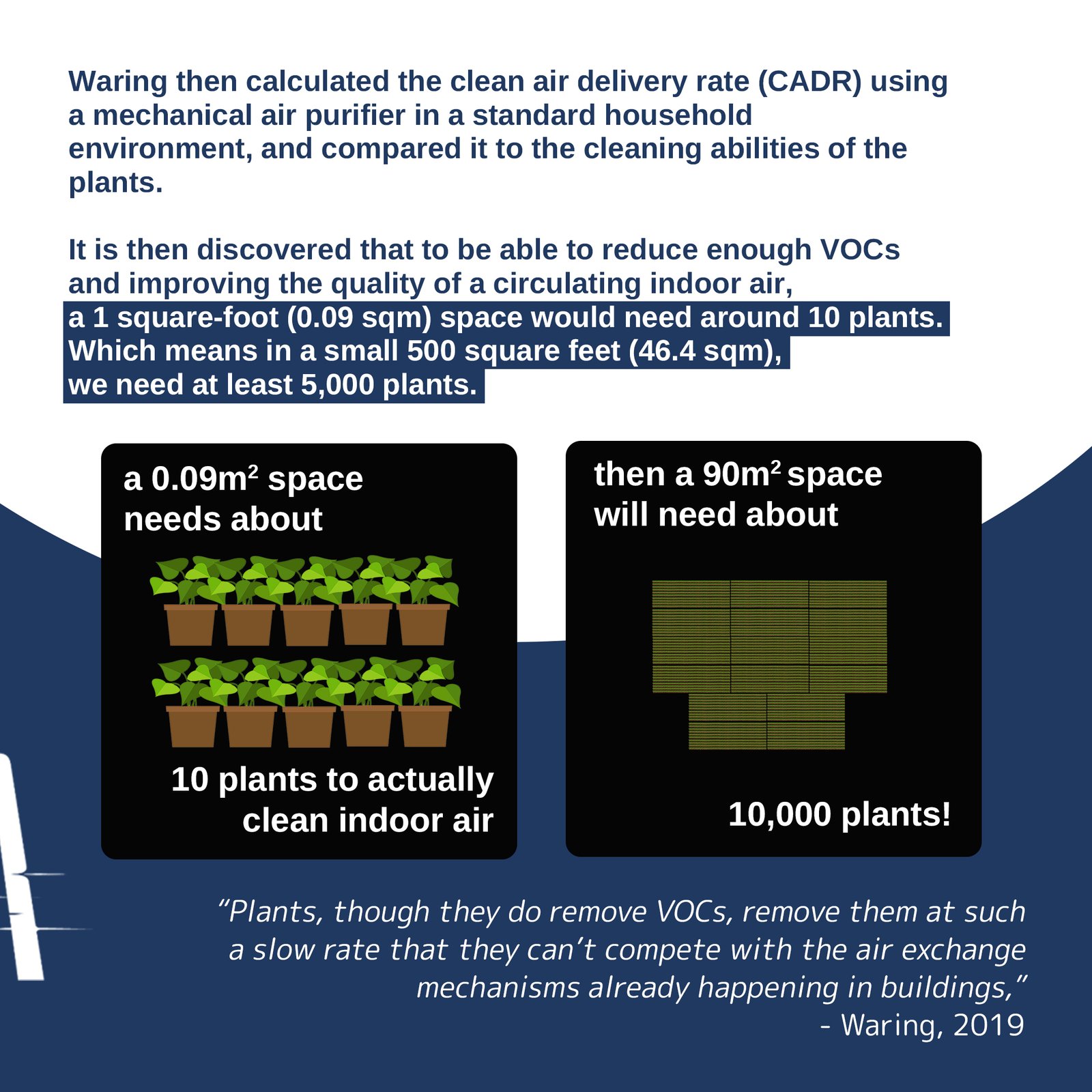 Do 'air-purifying plants' actually purify air?