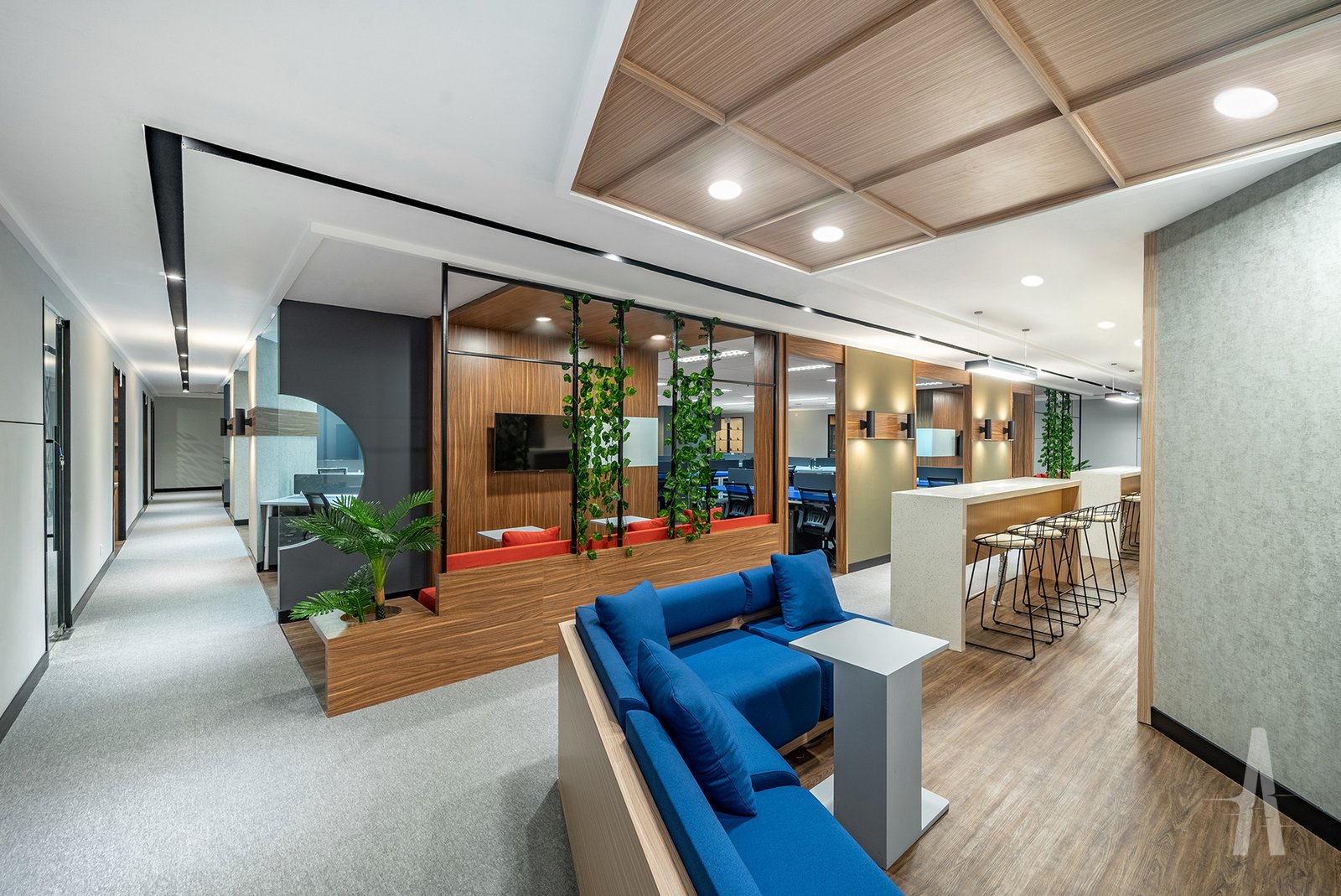 Completed Project: Parekfraf Co-working Office