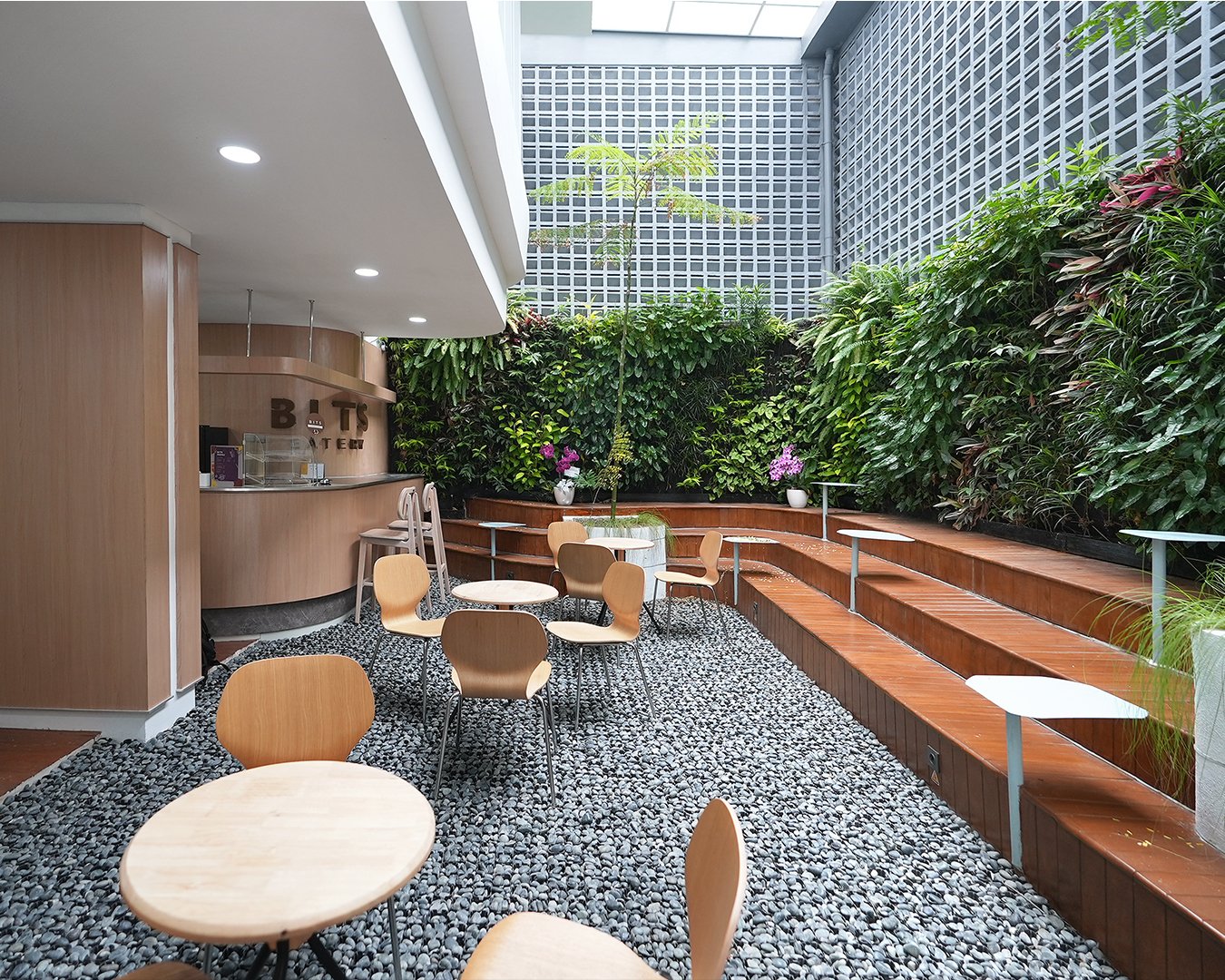 Kenyamanan Maksimal dalam Desain Interior Klinik Tivaza – Desain Interior Klinik Tivaza Jakarta: Modern Tropis yang Nyaman