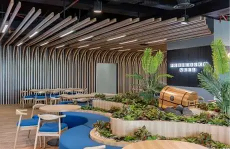 Biophilic Design untuk Interior Kantor: Bukan Hanya Soal Tanaman