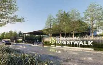 Menjelajahi Sudimara Forestwalk: Oase Hijau di Tangerang Selatan