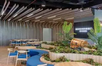 Biophilic Design: Bagaimana Alam Masuk ke Dalam Interior Modern untuk Ruang yang Lebih Sehat